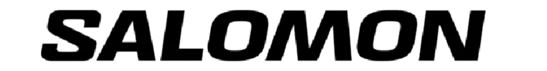 salomon logo